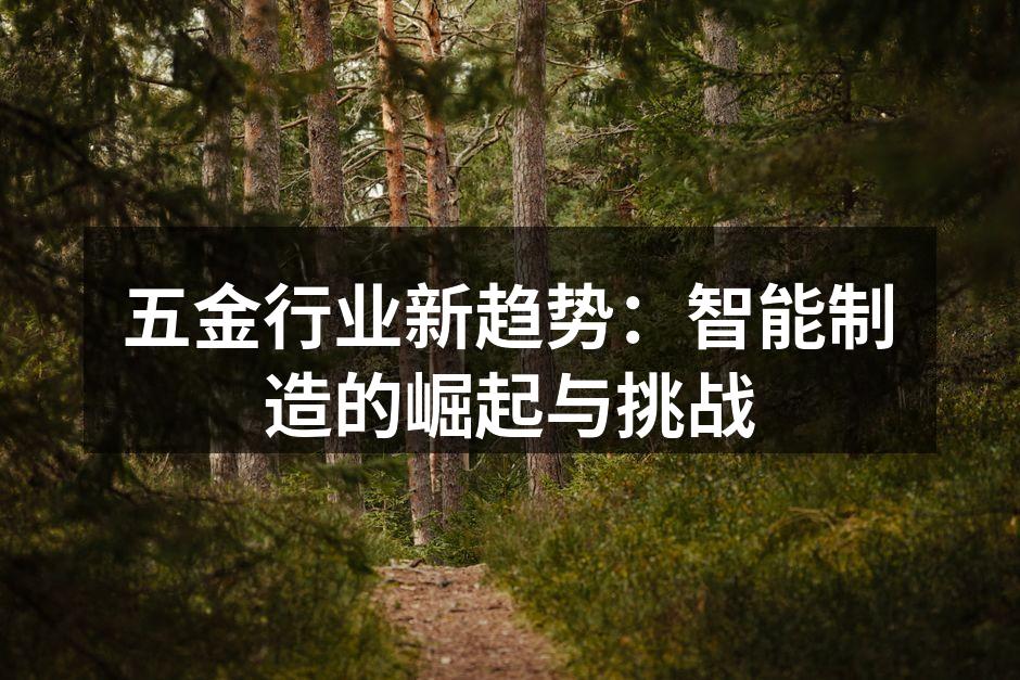 五金行业新趋势:智能制造的崛起与挑战