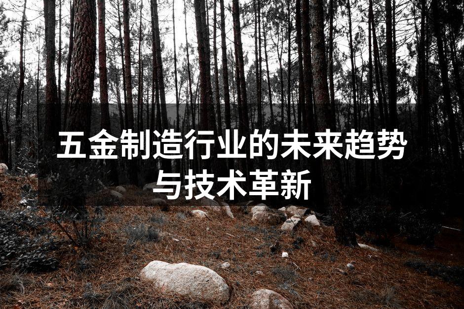 五金制造行业的未来趋势与技术革新