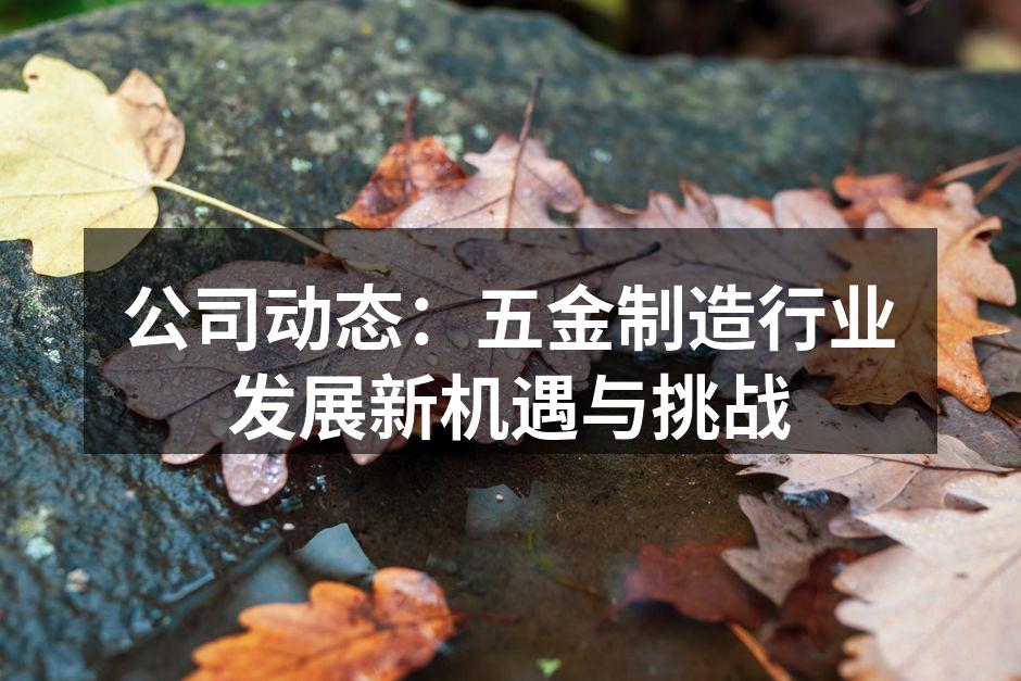 公司动态:五金制造行业发展新机遇与挑战